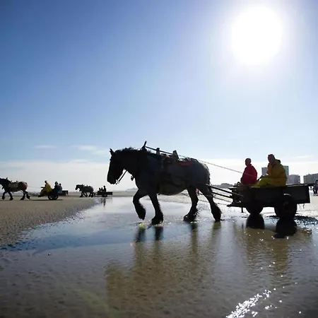 In With Sea Beach, Cleaning Included * Nieuwpoort